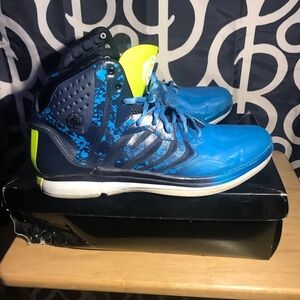 COPY - D Rose shoes size 12